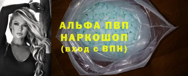 индика Беломорск