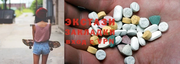 индика Беломорск