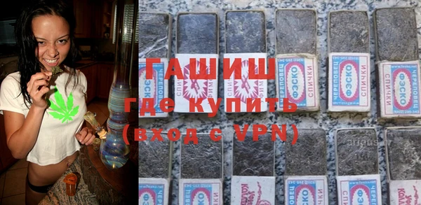 индика Беломорск