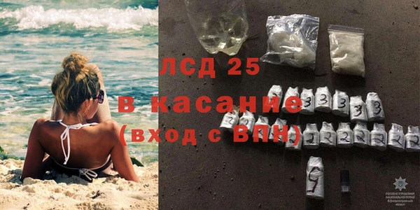 индика Беломорск
