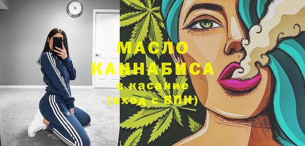 индика Беломорск