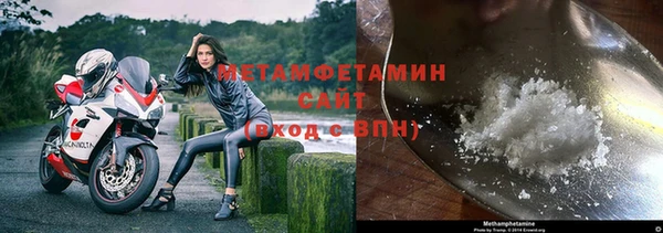 индика Беломорск
