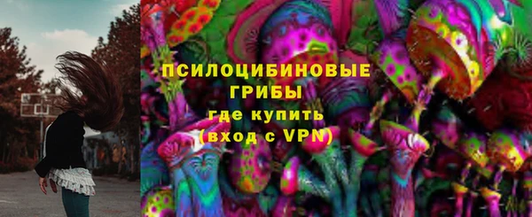 индика Беломорск