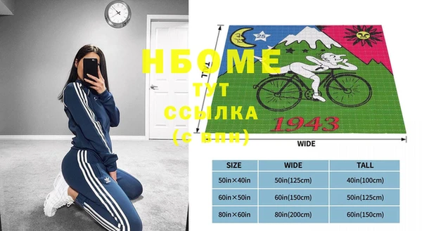индика Беломорск