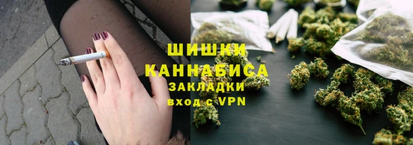 индика Беломорск
