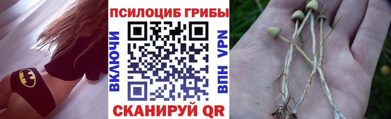 Галлюциногенные грибы GOLDEN TEACHER Вязники