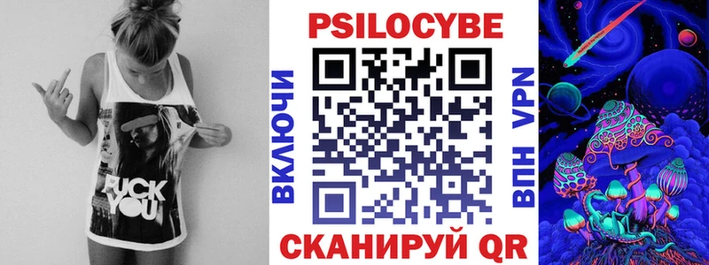 Галлюциногенные грибы Psilocybe  что такое   Вязники 